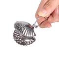 Miniatyrbillede 3 af 8: Sød te-si i rustfrit stål, løs tebladssi, filterdiffuser, urte-krydderi-skal-klemme
