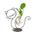 Miniatyrbild 1 av 8: Enkel kattjärnblomkruka hydroponisk blomsterarrangemang vas