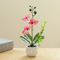Pikkukuva 3 / 5: Tekokukka kaksoishaarainen simulaatio täplikäs phalaenopsis