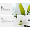 Miniatyrbilde 5 av 8: Kunstig Peony Silkeblomst Blad Hjem Bryllup Fest