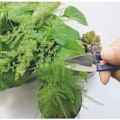Miniatyrbild 6 av 8: Materialuppgradering Jord pH-mätare, 3-i-1 Testkit för Inom- och Utomhusbruk, Förbättrad Sensorprob för Exakta Mätvärden