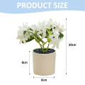 Miniatyrbilde 2 av 5: Simulert blomst, kunstig blomst, fembladet hortensia bonsai