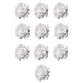 Miniatyrbild 1 av 5: Nail Art 3D Resin Vit Ros Blomdesign Aurora Kronblad Nagel