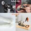 Miniatyrbild 3 av 4: Katt Repbräda Kartong Katt Repkort Hög Kvalitet Repkort Textur Design Hållbar Katt Repkort