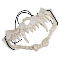 Miniatyrbillede 3 af 8: Latex Tiger Tand Maske - Holdbar, Vandafvisende, Justerbar og Uhyggelig Maske til Fest, Festival og Teater
