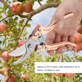 Miniatyrbild 4 av 8: Trädgårdssax, precisionsslipat stålblad ergonomiskt halkfritt grepp, för att klippa grenar från växter och blommor i trädgården