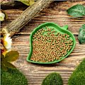 Miniatyrbild 2 av 5: Reptilbladsskål Vatten Skål Sköldpadda Matfat Reptilblad Fat för Sköldpadda Majsorm Krypande Husdjur Dricka Äta Akvarium Prydnad