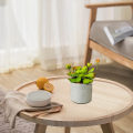 Miniatyrbilde 4 av 5: Simulering av sukkulente potteplanter, trekantet jernramme