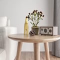 Miniatyrbillede 4 af 5: Frugtpotteplanter, kreative dekorationer til hjemmet
