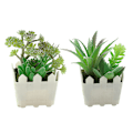 Miniatyrbillede 1 af 5: 2 stk. kunstige blomster simulering saftige bonsai kreativt hjem