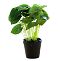 Miniatyrbillede 1 af 5: Kunstige blomster, kunstige grønne planter, potteplanter