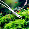 Miniatyrbillede 4 af 8: Rustfrit Stål Bølge Saks Akvarium Tank Vandplante Tang
