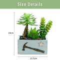 Miniatyrbillede 2 af 5: Trækurv simulering saftig kombination bonsai hjem