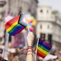 Miniatyrbild 5 av 8: Mini Handhållna Prideflaggor, Hög Synlighet Prideflaggor, 50-pack, Kompakta och Lätta för Parader, Firanden