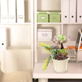Miniatyrbild 4 av 5: 2 st konstgjorda suckulenter kombination bonsai kreativ mode