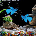 Miniatyrbillede 5 af 8: Silikon Kunstig Fisk Akvarium Dekoration Høj Simulation