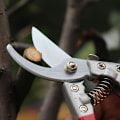 Miniatyrbild 5 av 5: Trädgårdssax, SK5 kolstålsklinga, med säkerhetslås för säker förvaring, presentidé för trädgårdsälskare (8\" ergonomisk design)