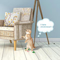 Miniatyrbild 3 av 5: Katt anti-scratch träningstejp, 50mm*30 yards, kattsoffskydd, transparent dubbelsidig kattsoffskydd, katttasstejp för katt