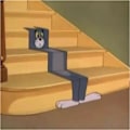 Miniatyrbild 2 av 5: Tapis Tom Cat Tapis Profilé Épais Imitation Cachemire 6090cm