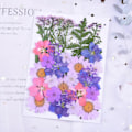 Miniatyrbillede 4 af 8: Naturlige Tørrede Blomster Pressede Blomster Blandede Tørrede Blade Blandet M