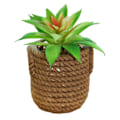 Miniatyrbild 1 av 5: Falsk blomma simulering succulent stor bonsai mode kreativ