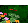 Miniatyrbillede 2 af 8: NAVAdeal 4 stk. 7 tommer kunstige flydende skum Lotusblomster til
