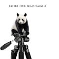 Miniatyrbild 5 av 6: Justerbart Höjd Stativ, Professionellt 143cm Stativ med Hållbar Konstruktion för Kamera DSLR, Snabbkopplingsplattor för Enkelt Kamerabyte, Bred