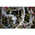 Miniatyrbillede 5 af 6: Multifarvede Julelys Vandtætte 300LED 105FT UL