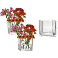 Miniatyrbillede 2 af 6: Sæt af 3 Glas Kvadratiske Vaser 5 x 5 Tommer – Klar Terningform Blomst