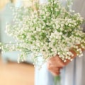 Miniatyrbilde 7 av 7: Hauserlin 20 stk Baby's Breath Blomster 16\" Kunstig Gypsophila