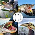 Miniatyrbillede 5 af 5: Fiskesnore, Forbind Fiskeudstyr og Tackle