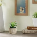 Miniatyrbillede 4 af 5: 2 stk. kunstige sukkulenter bonsai kreative små ornamenter