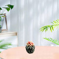 Miniatyrbild 5 av 5: Konstgjorda blommor, konstgjorda suckulenter, krukväxter, hem