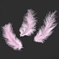 Miniatyrbillede 5 af 5: 300 stk. Farverige Fjer til DIY Håndværk Bryllup Hjem Fest Dekorationer DIY Tilbehør (Pink)