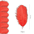 Miniatyrbillede 4 af 5: 10 stk Engros 10 stk naturlige hanstruds fjer 25-30 cm/10-12 tommer Stor blød rød