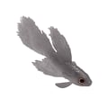 Miniatyrbilde 2 av 8: Silikon Kunstig Fisk Akvarium Dekorasjon Høy Simulering