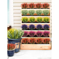 Miniatyrbillede 5 af 6: 8 Bundter Kunstige Lavendelblomsterplanter UV-Resistente Faux