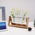 Miniatyrbillede 8 af 8: Hydroponisk Vase Hængevase - OLT-EU Deko Træholder med Hydropon