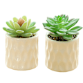 Miniatyrbilde 1 av 5: 2 stk kunstige blomster simulering sukkulent bonsai mote