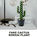 Miniatyrbilde 4 av 5: Kunstig kaktus bonsai, tropisk, kreativ