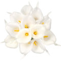 Miniatyrbillede 1 af 7: 12 Stykker Kunstige Calla Lily Kunstige Blomsterbuket Hvid