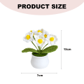 Miniatyrbillede 2 af 5: 1 krukke håndlavede små daisy potteplanter hjem dekorative