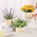 Miniatyrbilde 4 av 5: Kunstige falske blomster, falske grønne planter, potteplanter