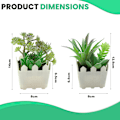 Miniatyrbillede 2 af 5: 2 stk. kunstige blomster simulering saftige bonsai kreativt hjem