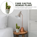 Miniatyrbilde 3 av 5: Tropiske planter potteplanter med potter kreative ornamenter