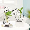 Miniatyrbild 8 av 8: Enkel kattjärnblomkruka hydroponisk blomsterarrangemang vas