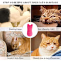 Miniatyrbild 4 av 4: 5-pack plyschkattkuddar med kattmynta för katter