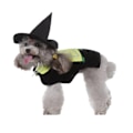 Miniatyrbillede 1 af 6: 1 Stk Halloween Personligt Kostume til Dit Kæledyr Sort og Grøn