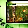 Miniatyrbild 3 av 8: Akvarievärmare Akvarium Värmeelement Värmeelement för Sköldpaddor
