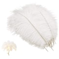 Miniatyrbillede 3 af 4: 10 stk Naturlige Strudsefjer Håndværk Plume - Til Bryllup